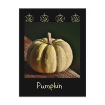 White Pumpkin Mini Gourd Fall Postcard