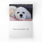 WHITE PUP MISSING YOU CARD