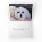 WHITE PUP MISSING YOU CARD