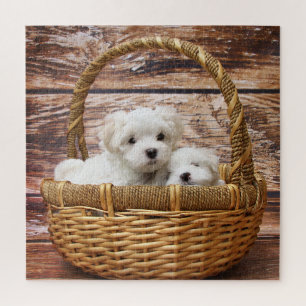 White Puppies In A Basket Jigsaw Puzzle