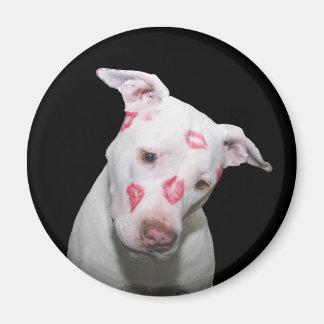 White Puppy Dog Love, Sealed with Lipstick Kisses Magnet