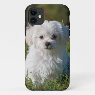 white puppy in the park iPhone 11 case