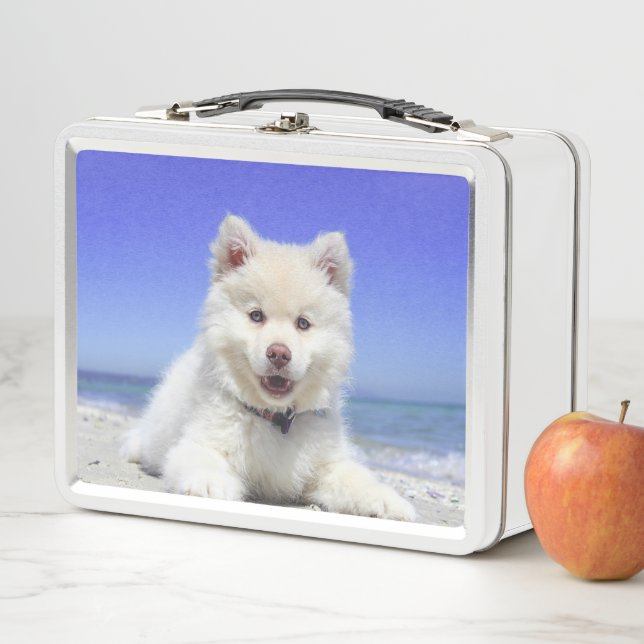 White Puppy Metal Lunch Box (In Situ)