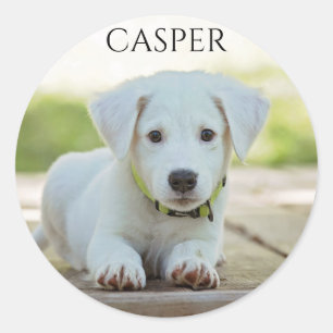 WHITE PUPPY STICKER WITH NAME OF CHILD OR PUPPY.