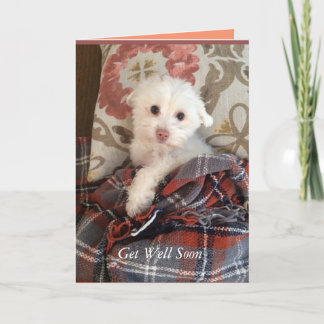 White Puppy Under a Blanket Get Well Soon Card