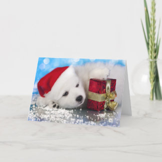White Puppy With A Gift In Paws Holiday Card