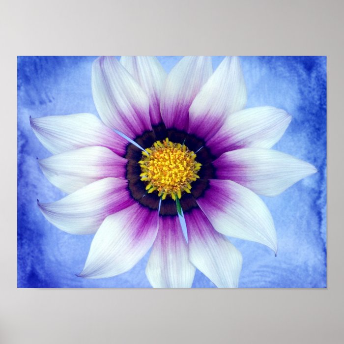 White & Purple Daisy on Blue Background Customized Poster