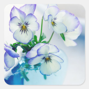 White Purple Pansies Flowers Blue Vase Floral Square Sticker