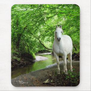 White Quarter Horse lush forest stream Mousepad