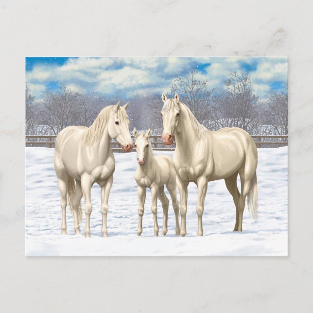 White Quarter Horses In Snow Postcard (Front)