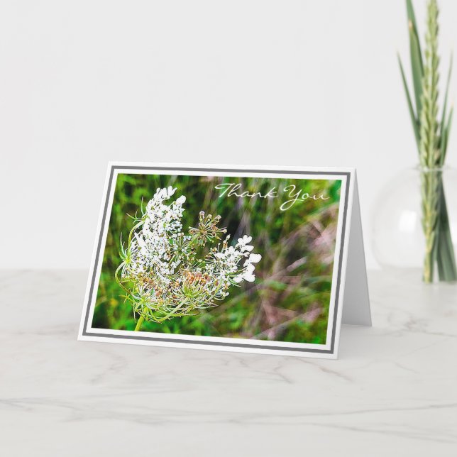 White Queen Anne's Lace Flower in Green Field Card (Front)