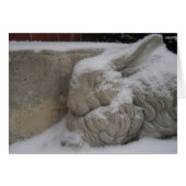 White Rabbit (Front Horizontal)