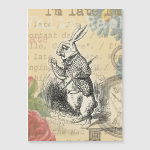 White Rabbit Alice Adventures Wonderland Art
