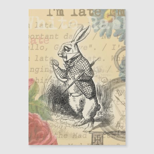 White Rabbit Alice Adventures Wonderland Art (Front)