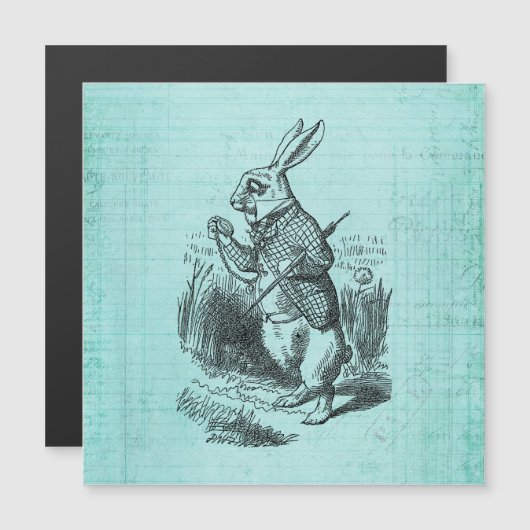 White Rabbit Alice in Wonderland Art (Front/Back)