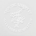 White Rabbit Alice Wonderland Library Book Name
