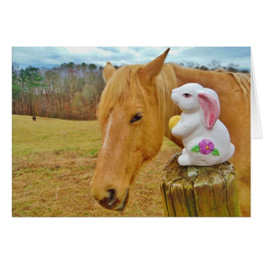 White rabbit and blond yellow horse (Front Horizontal)