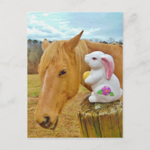 White rabbit and blond yellow horse postcard