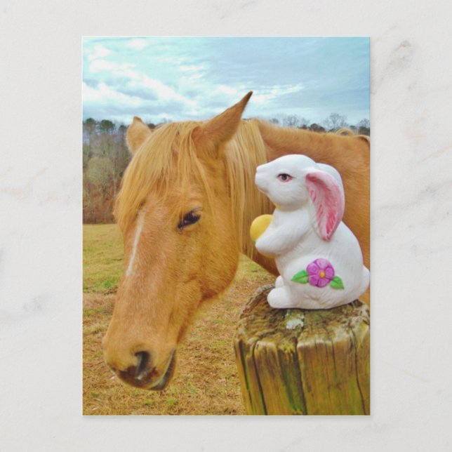White rabbit and blond yellow horse postcard (Front)