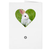 White Rabbit Cards (Back)