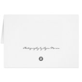 White Rabbit Cards (Back Horizontal)
