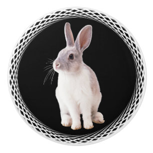 WHITE  RABBIT CERAMIC KNOB