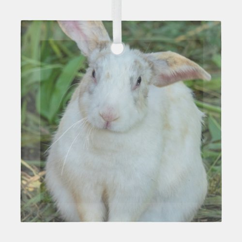 White rabbit glass ornament