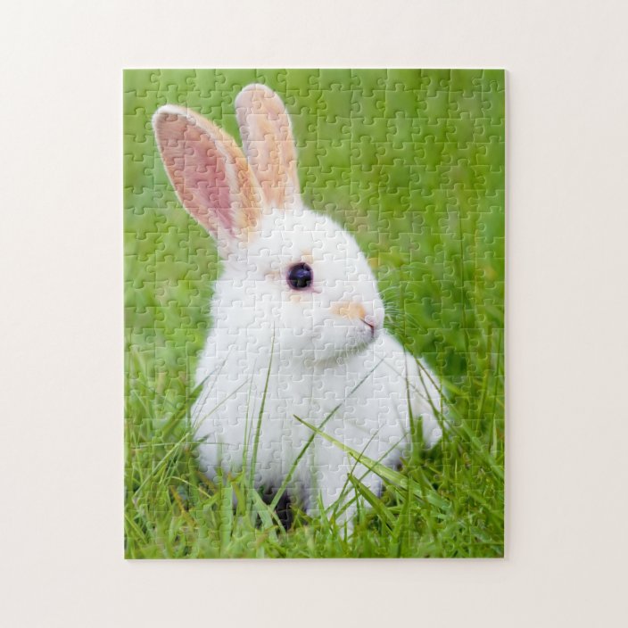 White Rabbit Jigsaw Puzzle | Zazzle.com