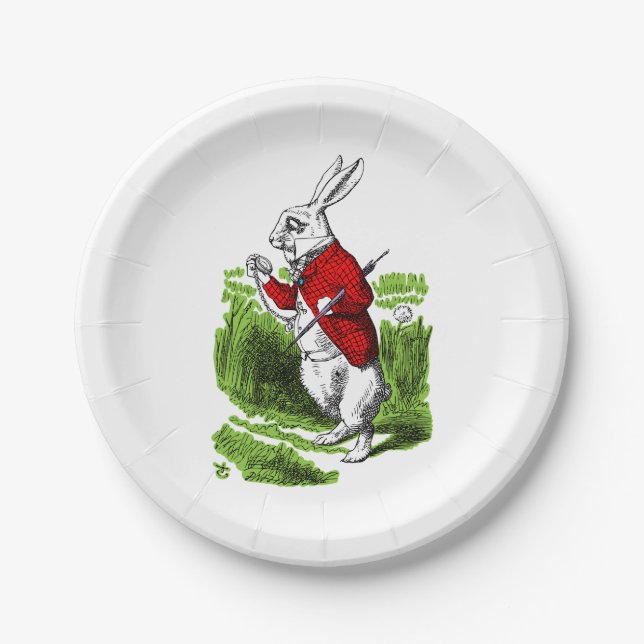 White Rabbit looking at watch. Illustration Paper Plates (Front)