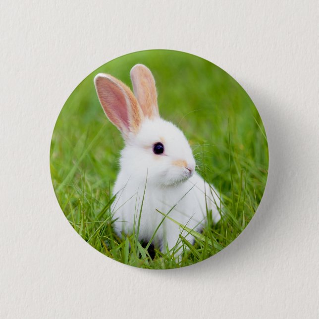 White Rabbit Pinback Button (Front)