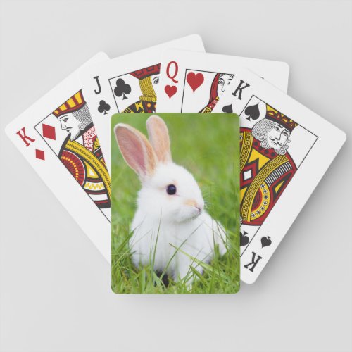 White Rabbit Poker Cards