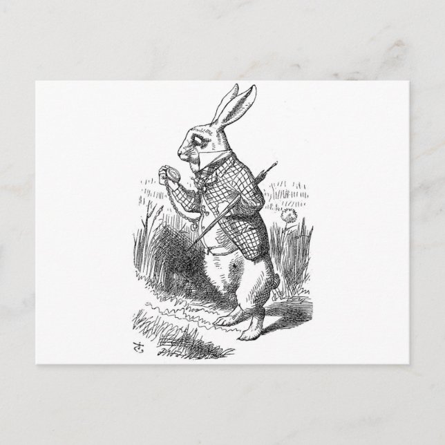 White Rabbit Postcard (Front)