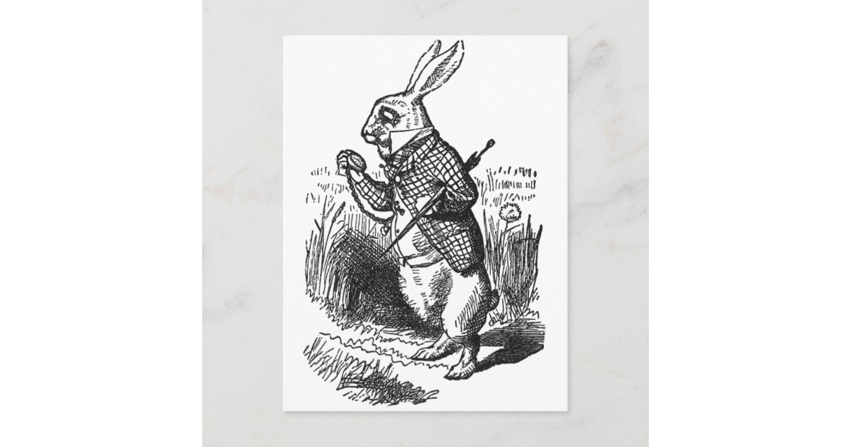 White Rabbit Postcard White Rabbit Postcard | Zazzle