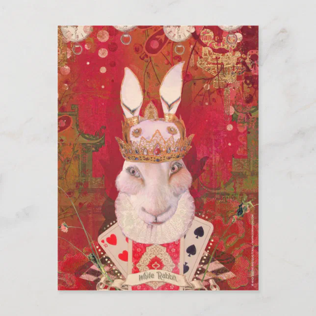 White Rabbit Postcard White Rabbit Postcard | Zazzle