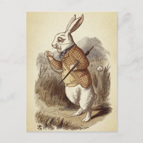 White Rabbit Postcard