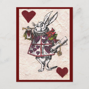 White Rabbit Postcard