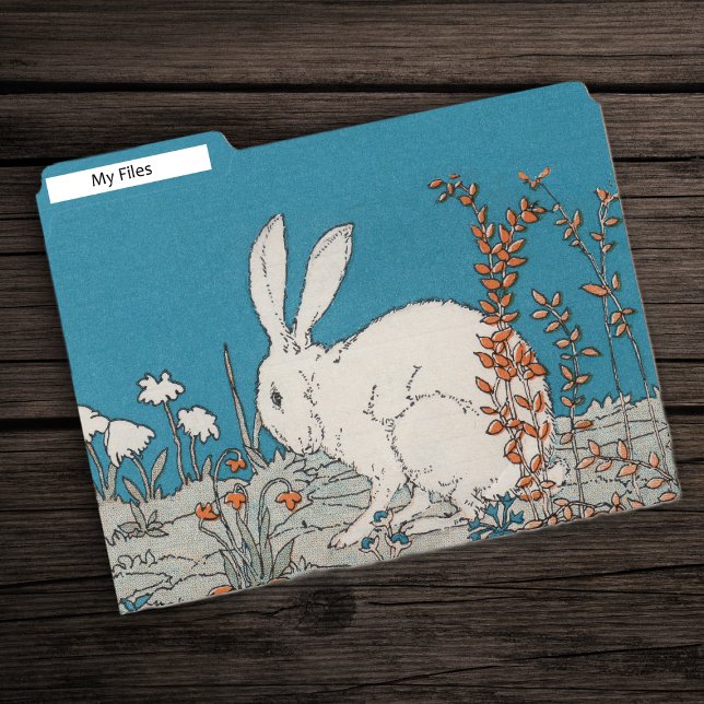 White Rabbit Sitting Among Orange White Flowers File Folder (Pretty white rabbit sitting on ground in orange and white flowers on blue file folders.)