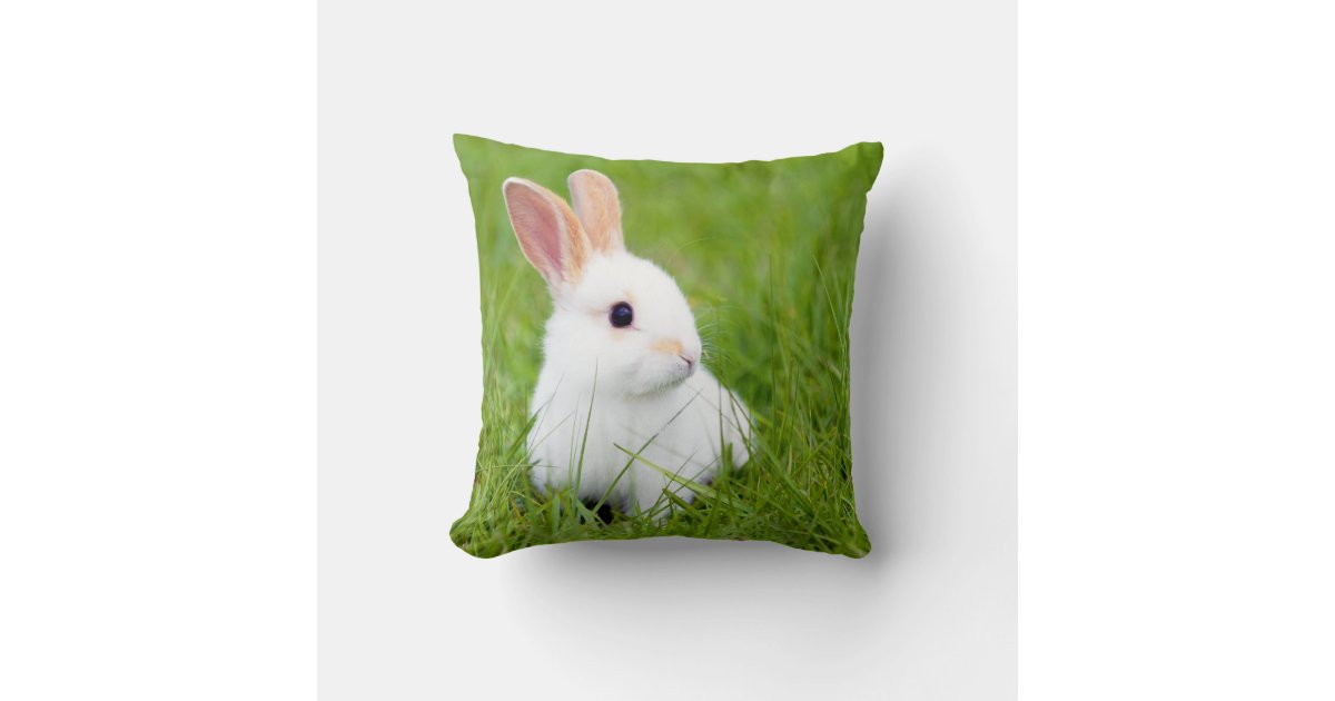 White Rabbit Throw Pillow Zazzle