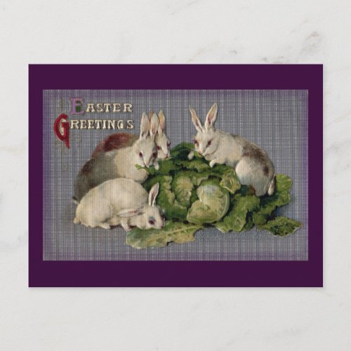 White Rabbits and Giant Cabbage Vintage Easter Holiday Postcard