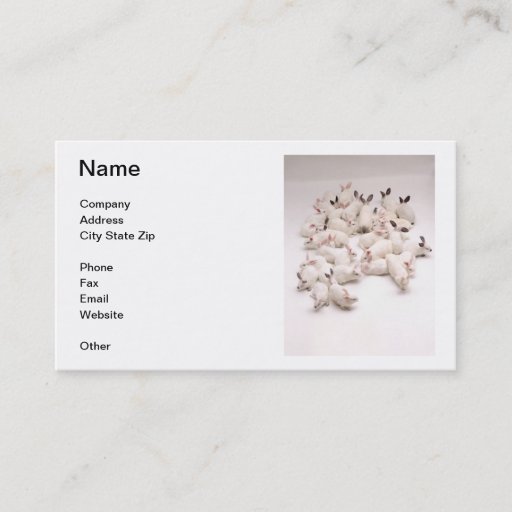 Customizable White Rabbits Business Card