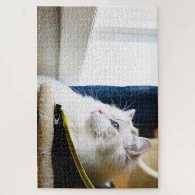 White Ragdoll Cat Puzzle (Vertical)