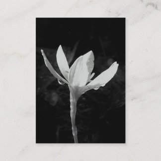 White Rain Lily ATC Photo Card