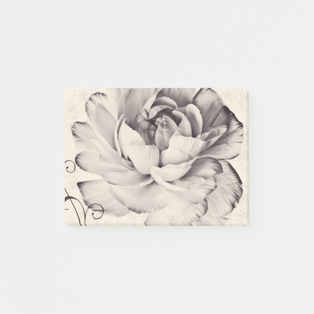 White Ranunculus Flower Black Background Post-it Notes (Front)