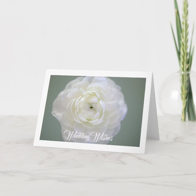 White Ranunculus Greeting Card (Front)