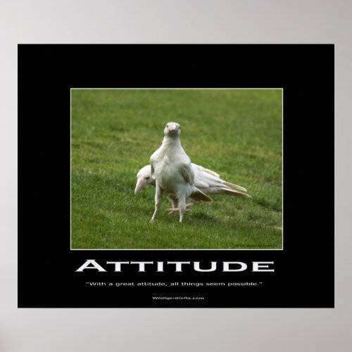 White Ravens Motivational Poster