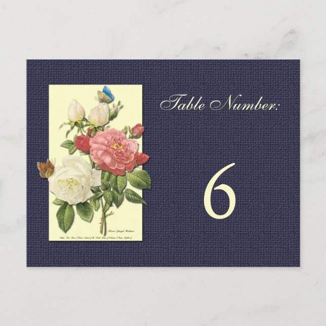 White Red Roses Table Number Postcard (Front)