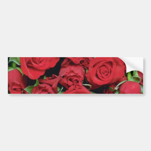White Red sweetheart roses flowers Bumper Sticker