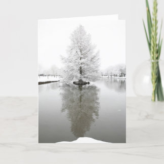 White reflective snow card