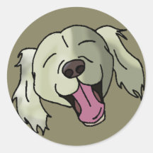 White Retriever