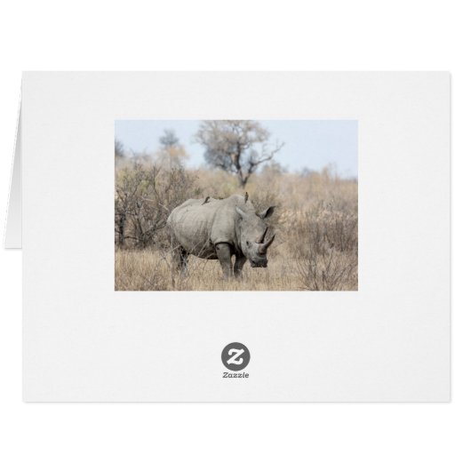 White Rhino (Back Horizontal)